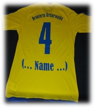 Fan-Trikot Weihnachten 2016 2