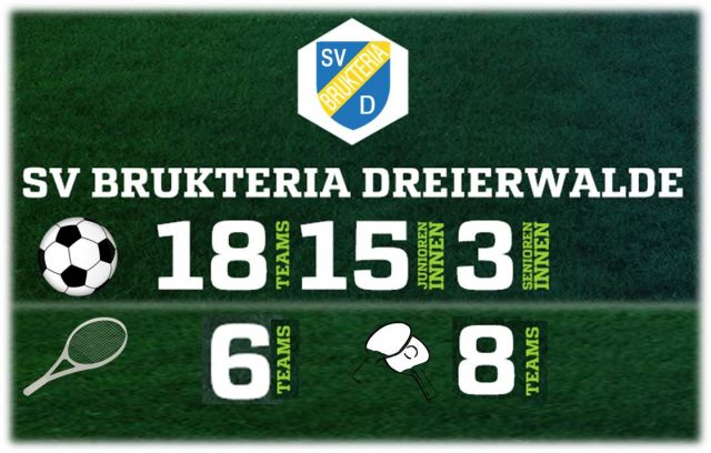 Verein Sponsoring Trikotwerbung02